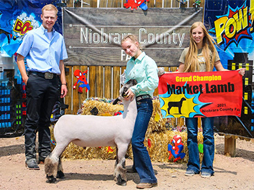 Barr Club Lambs Winners