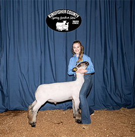 Barr Club Lambs Winners