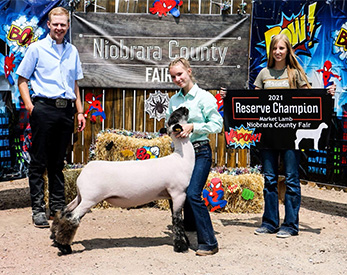 Barr Club Lambs Winners